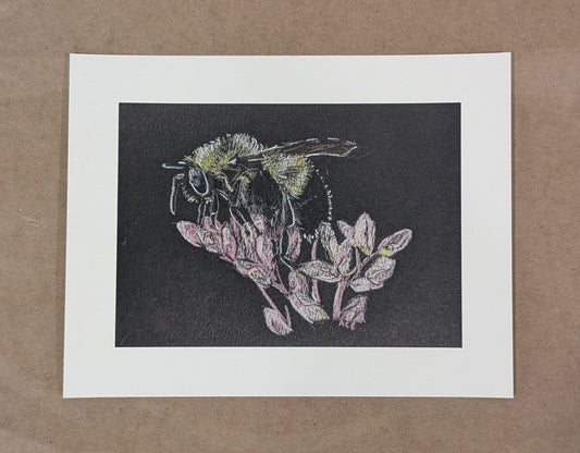 Bumblebee on Joe-Pye Art Print