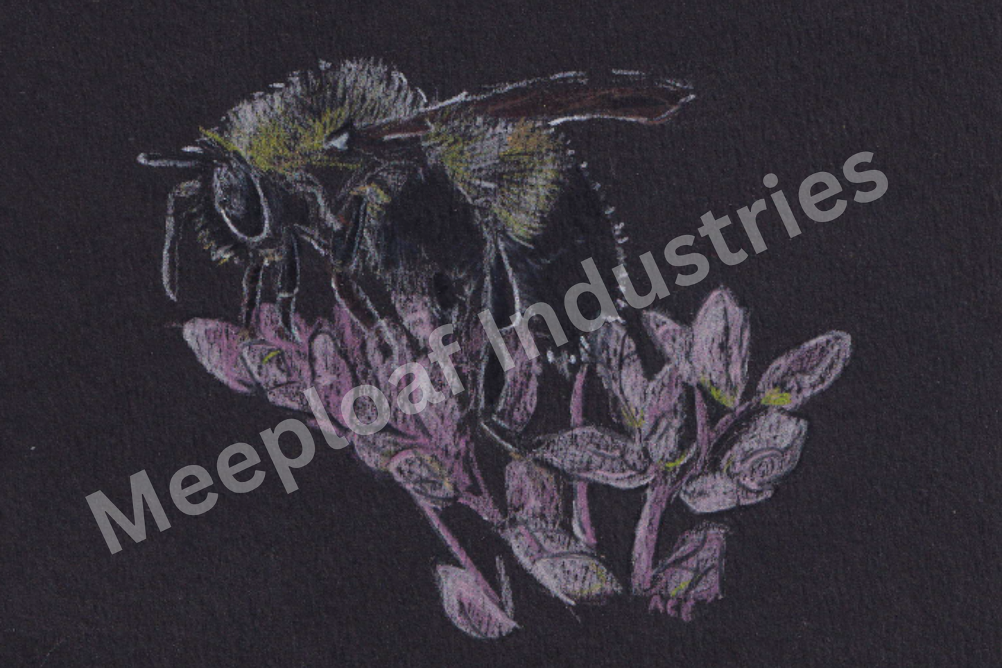 6x4 Digital Print - Bumblebee Colored Pencil Drawing