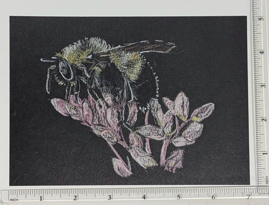 Bumblebee on Joe-Pye Art Print