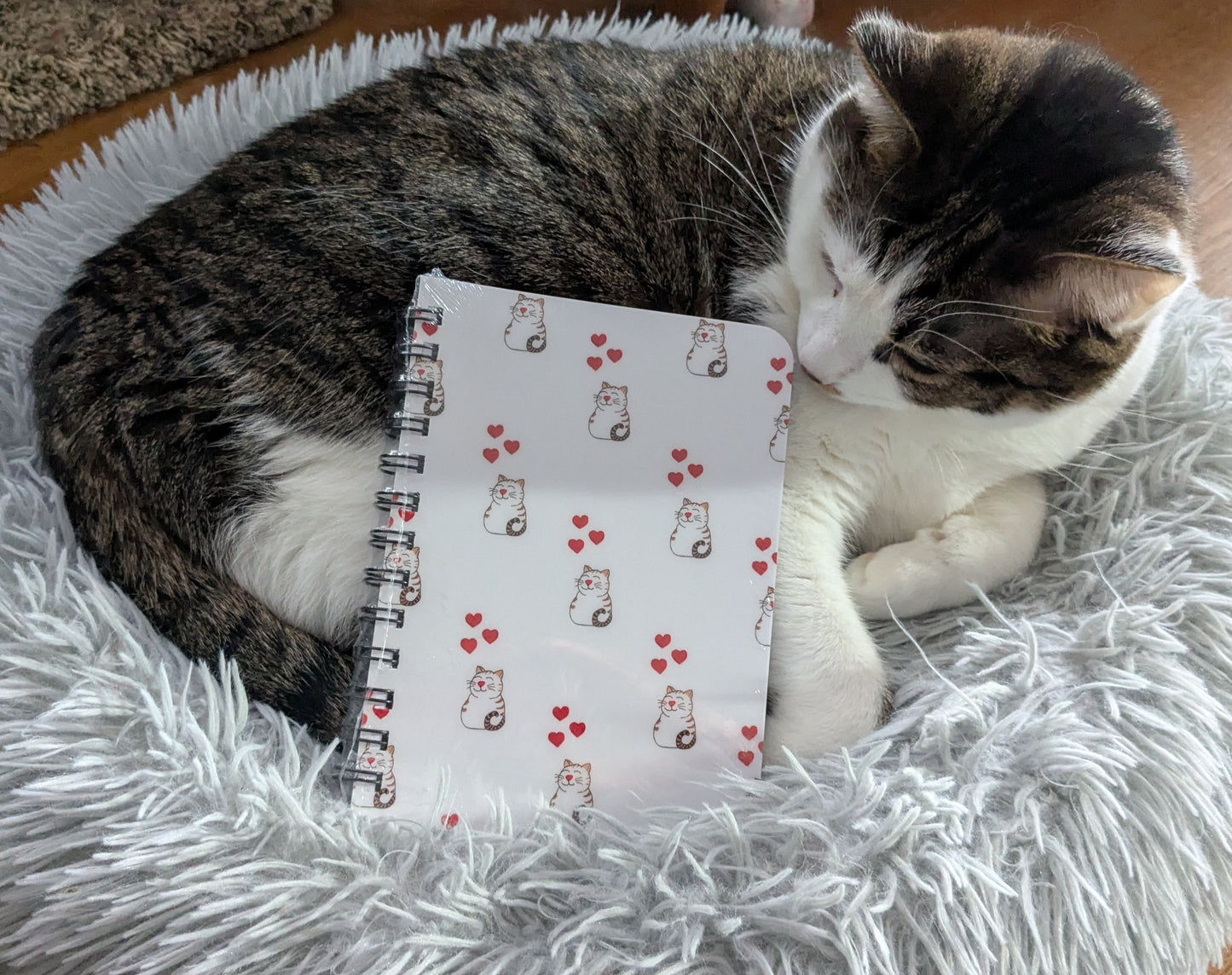 Spiral Bound Journal